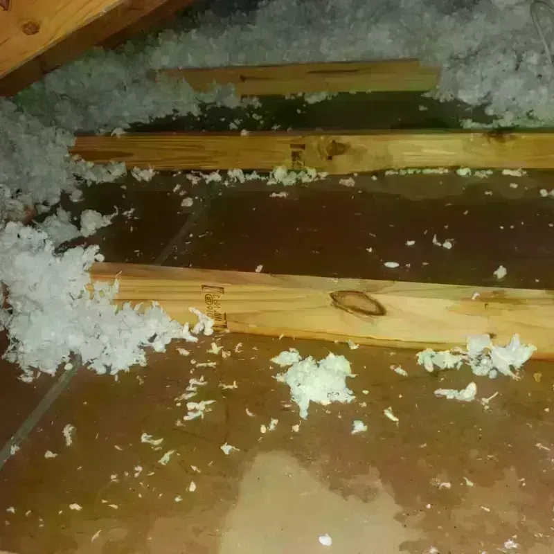 Attic Water Damage in Lone Grove, OK